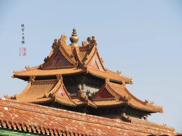 Žݶʶָ