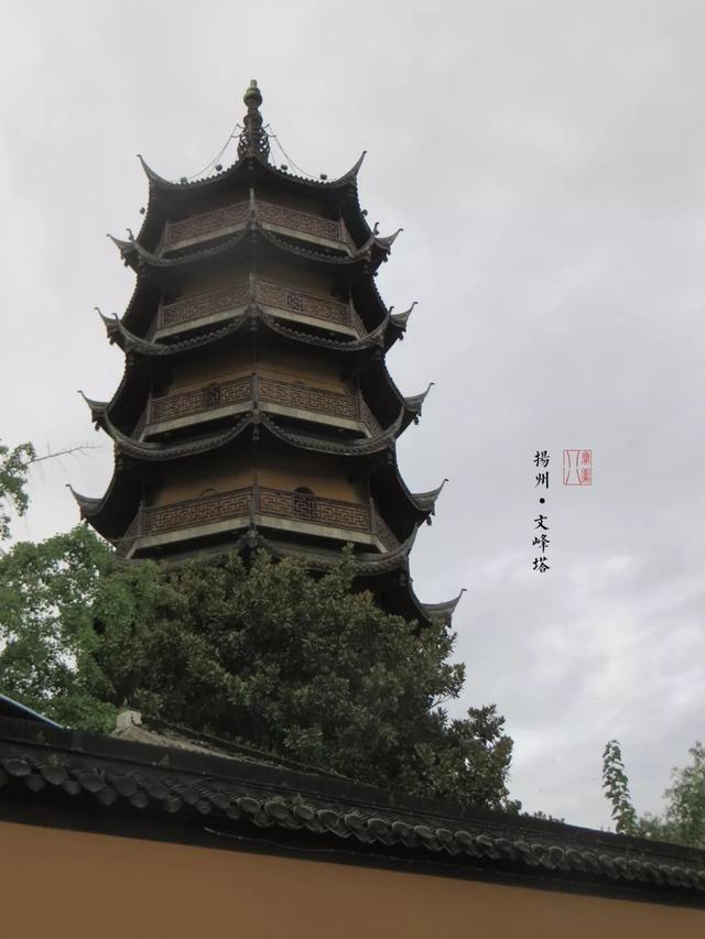 Žݶʶָ